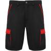 Tahoe 250 g/m2 workwear shorts