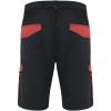 Tahoe 250 g/m2 workwear shorts