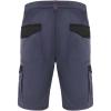 Tahoe 250 g/m2 workwear shorts