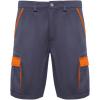 Tahoe 250 g/m2 workwear shorts