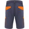 Tahoe 250 g/m2 workwear shorts