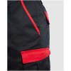 Tahoe 250 g/m2 workwear shorts