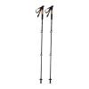 DENALI walking sticks