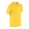 HEAVY COTTON ADULT T-SHIRT