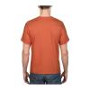 HEAVY COTTON ADULT T-SHIRT