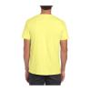 SOFTSTYLE® ADULT T-SHIRT