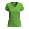 Classic-T V-neck Women's T-shirt