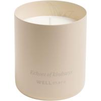 Wellmark scented candle