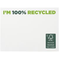 Sticky-Mate® recycled sticky notes 100x75 mm