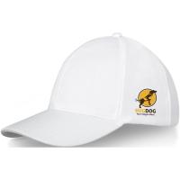 Drake 6 panel trucker cap