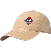 Grafton 6 panel washed cap