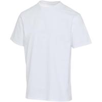 Lucas 260 g/m2 unisex OCS organic oversized t-shirt