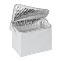 Geantă frigorifică