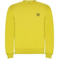 Clasica kids crewneck sweater