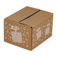 Cutie mica pentru cadouri